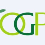 Orient Green Power Share Price