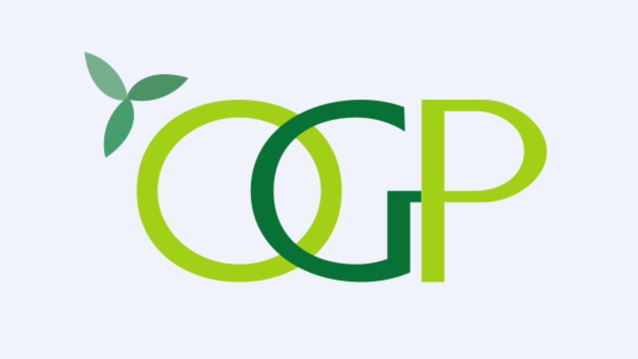 Orient Green Power Share Price