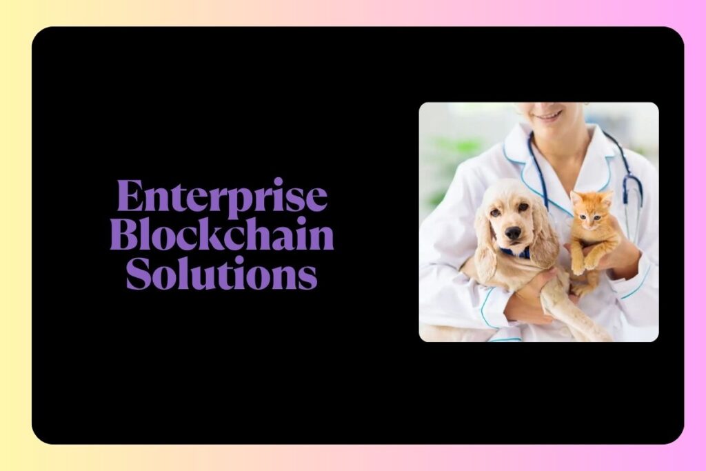 Pet Insurance Plans